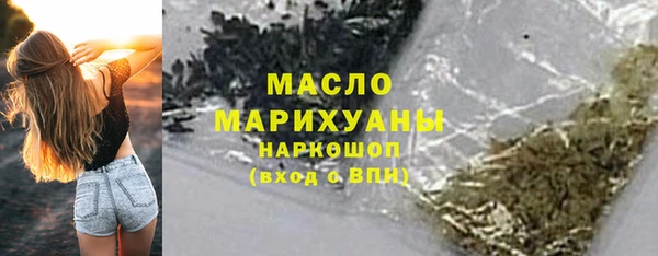 индика Богданович