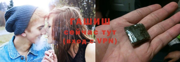 индика Богданович
