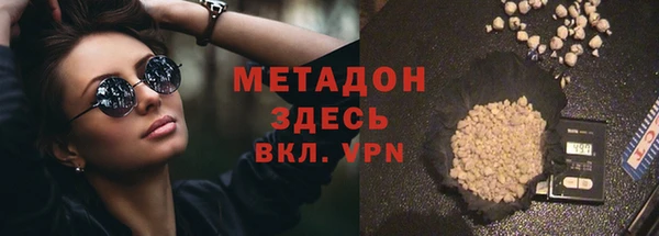 индика Богданович