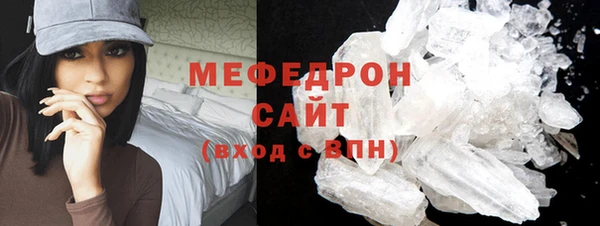 индика Богданович
