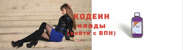 индика Богданович