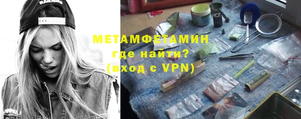 индика Богданович