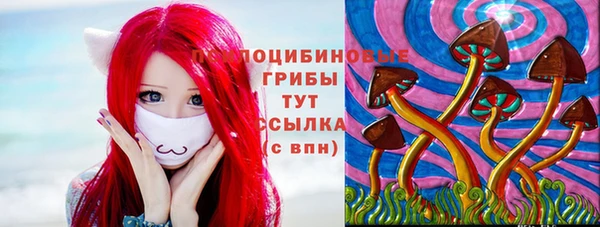 спайс Богородицк