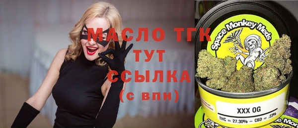 индика Богданович